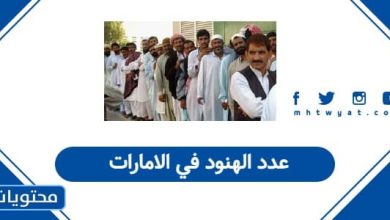 عدد الهنود في الامارات