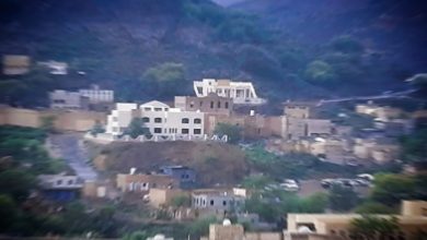 عنصر حوثي يقتل مواطنا في ماوية بتعز