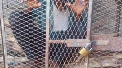 قيادي حوثي يحتجز طفلًا داخل قفص حديدي في حجة بتهمة النشر على مواقع التواصل