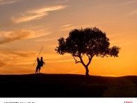 كاميرا هواتف Huawei Mate80 تظهر قدراتها في صور رسمية مذهلة نشرتها الشركة نفسها