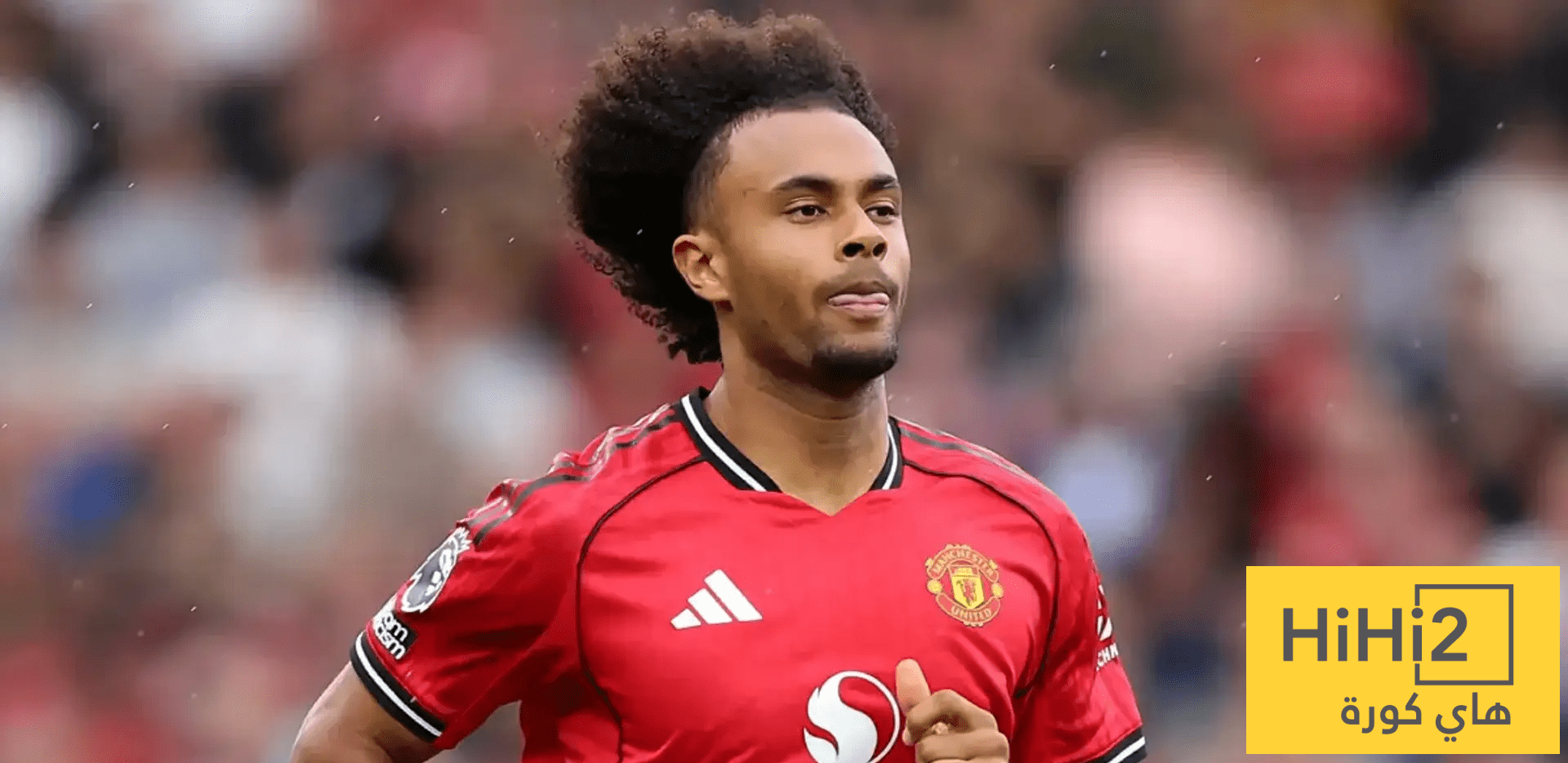 كل ما قدمه زيركزي أمام إيفرتون