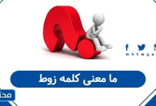 ما معنى كلمه زوط