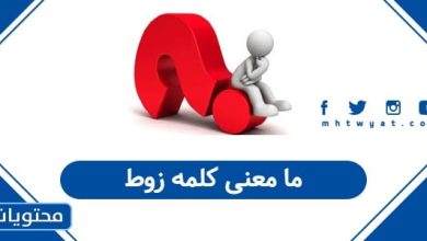 ما معنى كلمه زوط