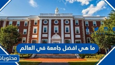 ما هي افضل جامعة في العالم 2023