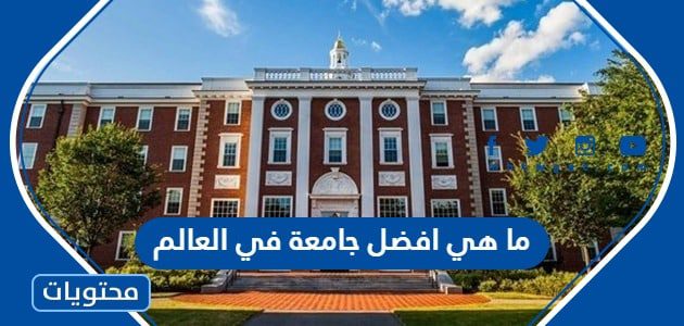 ما هي افضل جامعة في العالم 2023