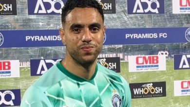 محمد الشيبي