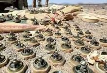 "مسام": نزع 4768 لغماً وذخيرة غير منفجرة وعبوة ناسفة زرعتها المليشيا الحوثية في ميدي