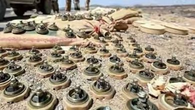 "مسام": نزع 4768 لغماً وذخيرة غير منفجرة وعبوة ناسفة زرعتها المليشيا الحوثية في ميدي