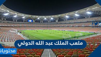 ملعب الملك عبد الله الدولي