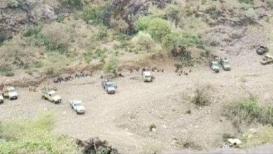 مليشيا الحوثي تفرض حصارًا على قرية "آل قباص" في الجوف وتدفع بتعزيزات عسكرية وسط توتر قبلي