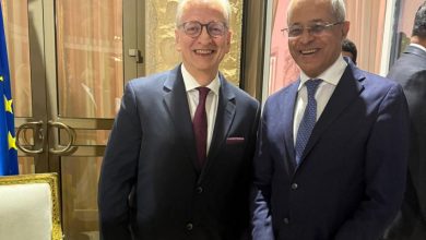 نائب وزير الخارجية يشيد بالدعم الالماني السياسي والتنموي لليمن