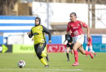 وادي دجلة والأهلي