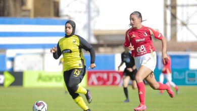 وادي دجلة والأهلي