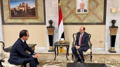 وزير الخارجية يبحث مع السفير الياباني تعزيز التعاون في قضايا أمن البحر الاحمر ورفع جاهزية خفر السواحل