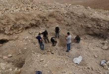 أثارت جدلًا واسعًا.. كيف خطفت لوحة محمود المليجي الأنظار من أحمد السقا؟