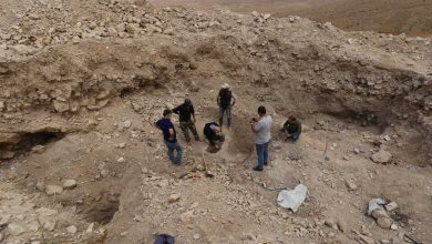 أثارت جدلًا واسعًا.. كيف خطفت لوحة محمود المليجي الأنظار من أحمد السقا؟