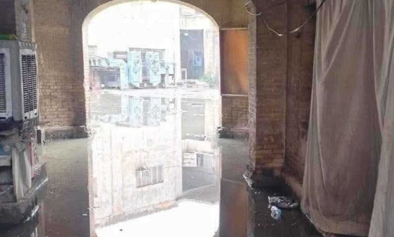 بطول 90 سنتمترا وأثار الرعب.. ما قصة تمساح الشرقية في مصر؟