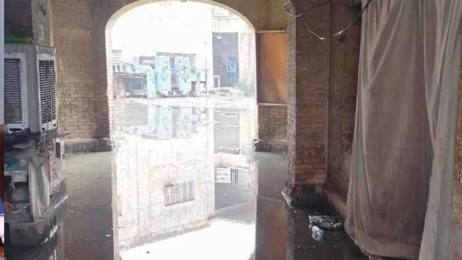 بطول 90 سنتمترا وأثار الرعب.. ما قصة تمساح الشرقية في مصر؟