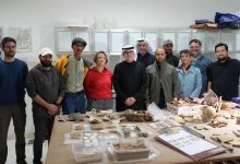 الحدائق قد تكون مأوى للثعابين.. إليك نصائح لتجنبها