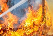 فيديو بـ42 مليون مشاهدة.. كيف تهزم رهاب الطيران بنظرية الجيلي؟