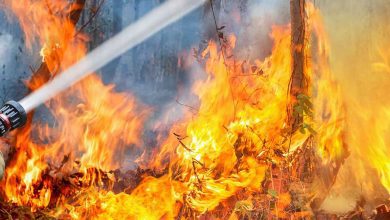 فيديو بـ42 مليون مشاهدة.. كيف تهزم رهاب الطيران بنظرية الجيلي؟