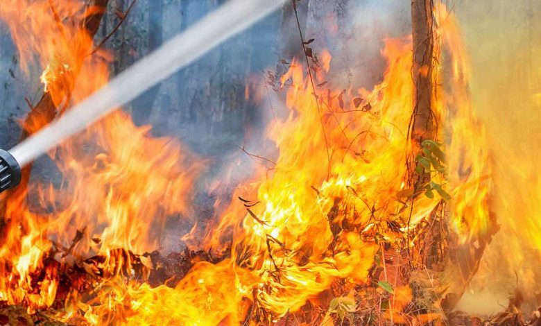 فيديو بـ42 مليون مشاهدة.. كيف تهزم رهاب الطيران بنظرية الجيلي؟