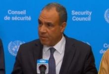 وزير الخارجية يؤكد ضرورة تثبيت وقف إطلاق النار في غزة