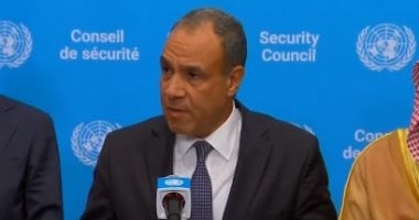 وزير الخارجية يؤكد ضرورة تثبيت وقف إطلاق النار في غزة