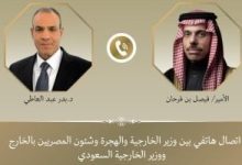 وزير الخارجية يؤكد أهمية نشر قوة الاستقرار الدولية المؤقتة فى قطاع غزة