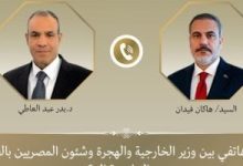 وزير الخارجية يؤكد لنظيره التركى أهمية تثبيت وقف إطلاق النار فى غزة