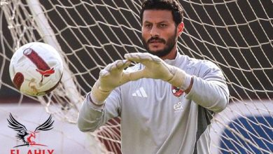 الشناوي يقترب من التعافي وتنسيق بين الأهلي ومنتخب مصر