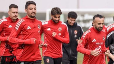 طاهر وجراديشار على رأس قائمة الأهلي لمباراة المصرية للاتصالات