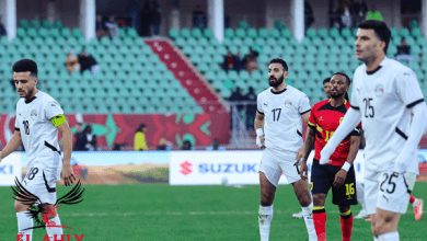 ملخص أحداث اليوم الثامن في أمم إفريقيا