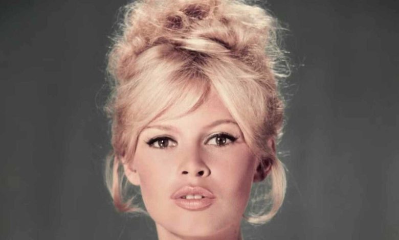 بريجيت مع طفلها الواحيد نيكولا