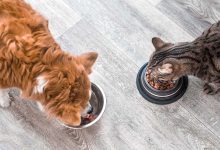 مصر.. تسرب غاز يودي بحياة 4 أفراد من أسرة واحدة اختناقا