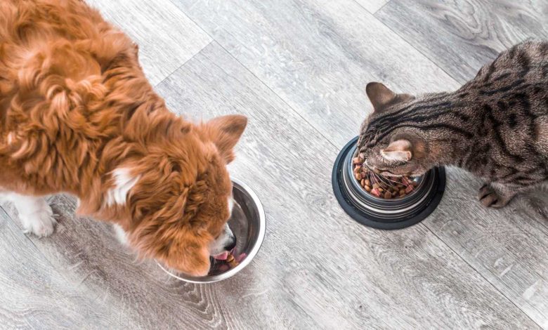 مصر.. تسرب غاز يودي بحياة 4 أفراد من أسرة واحدة اختناقا