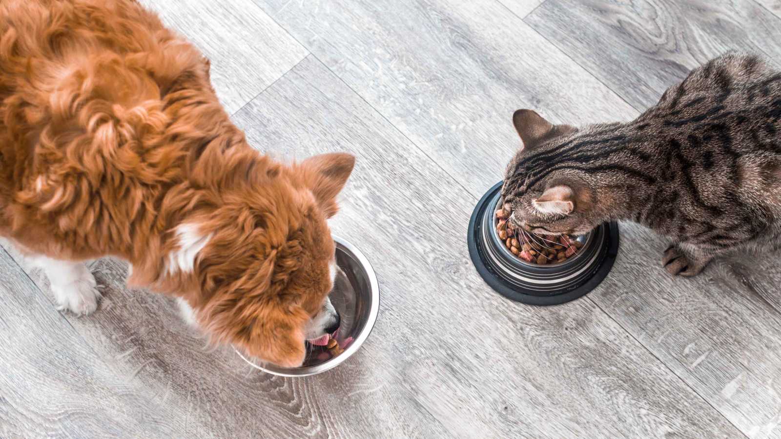 مصر.. تسرب غاز يودي بحياة 4 أفراد من أسرة واحدة اختناقا