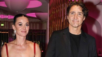 آرتشي وليليبيت يتألقان في الصورة العائلية لميغان وهاري (فيديو)