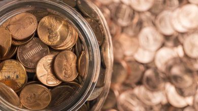 ثعبان يصطاد في مجموعات.. اكتشاف يغيّر مفاهيم سلوك الزواحف