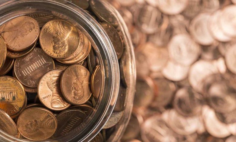 ثعبان يصطاد في مجموعات.. اكتشاف يغيّر مفاهيم سلوك الزواحف