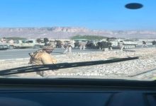 اخبار-حضرموت-|-القوات-المسلحة-الجنوبية-تطلق-عملية-#المستقبل-الواعد-لتحرير-وادي-وصحراء-حضرموت