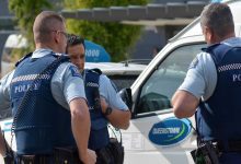 ولادة نادرة لشبلين من الأسود البيضاء المهددة بالانقراض (فيديو)