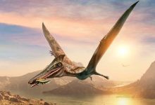 تمهيدًا للإعدام.. إحالة المتهم بالتعدي على تلاميذ مدرسة في مصر