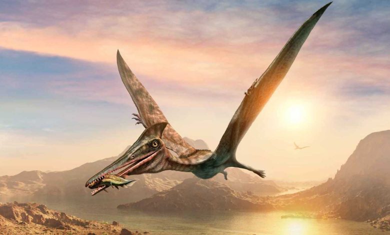 تمهيدًا للإعدام.. إحالة المتهم بالتعدي على تلاميذ مدرسة في مصر