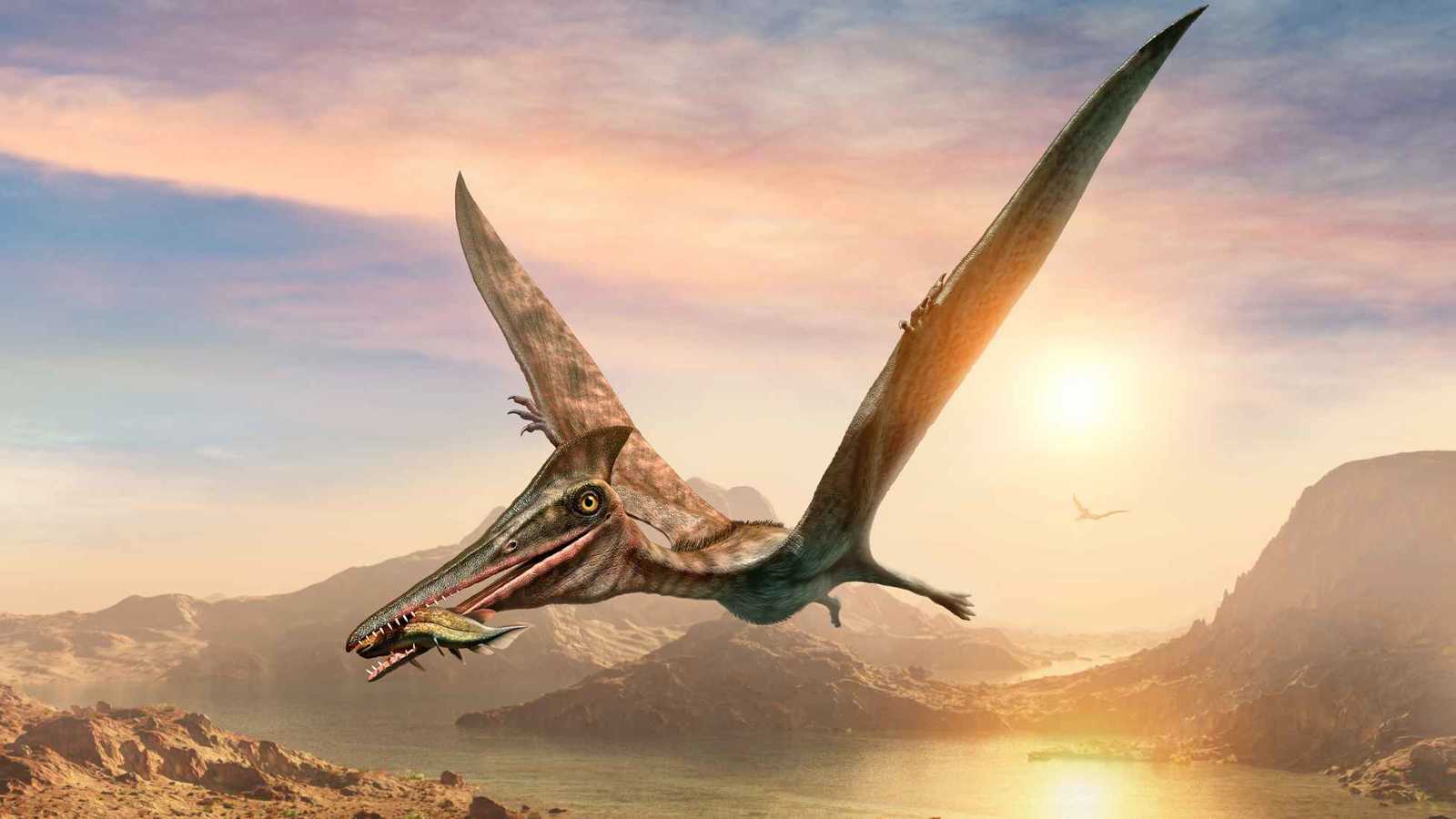 تمهيدًا للإعدام.. إحالة المتهم بالتعدي على تلاميذ مدرسة في مصر