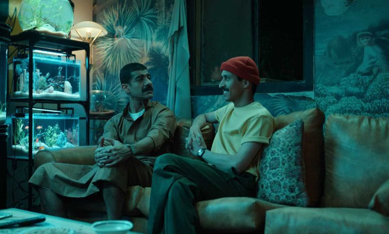 رغم خطر انقراضها.. لحوم الغزلان مطلوبة على موائد العراقيين