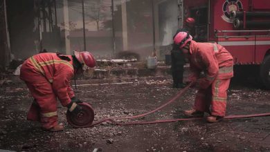 الموسيقار عمار الشريعي.. إبداع تجاوز الحواس وهزم العتمة