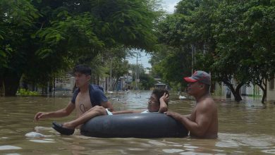 ثعبان يصطاد في مجموعات.. اكتشاف يغيّر مفاهيم سلوك الزواحف