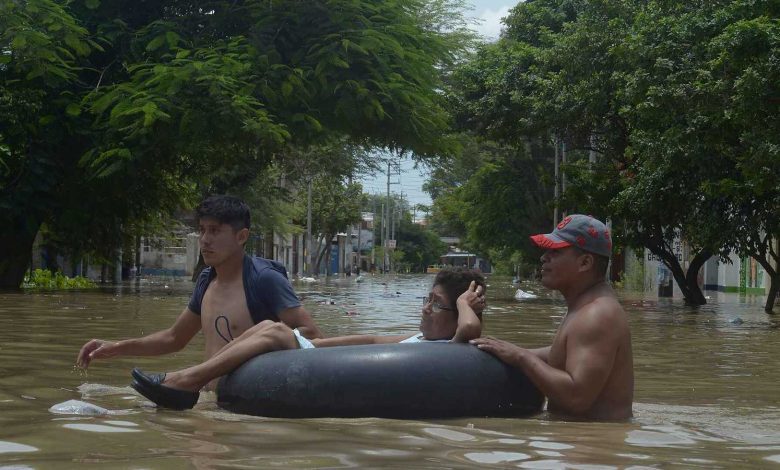 ثعبان يصطاد في مجموعات.. اكتشاف يغيّر مفاهيم سلوك الزواحف