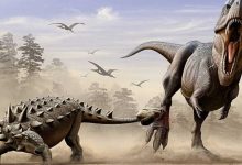 مومياء ديناصور نادرة تعود إلى أكثر من 110 ملايين سنة